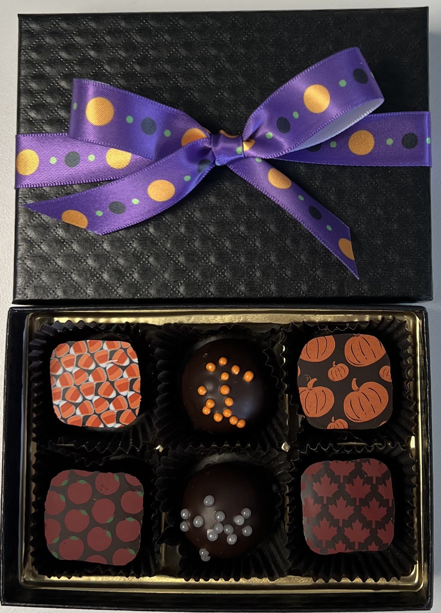 6 Piece Autumn Collection